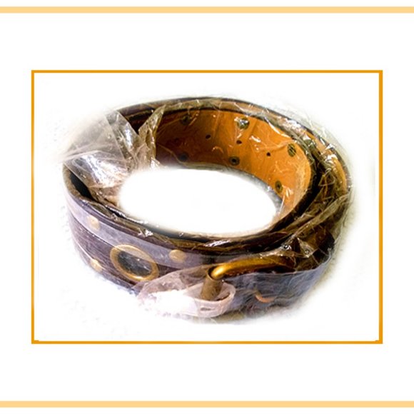 New Rare & Unique Women\'s Very Fancy Accented Belt With Brass Accents main image 5